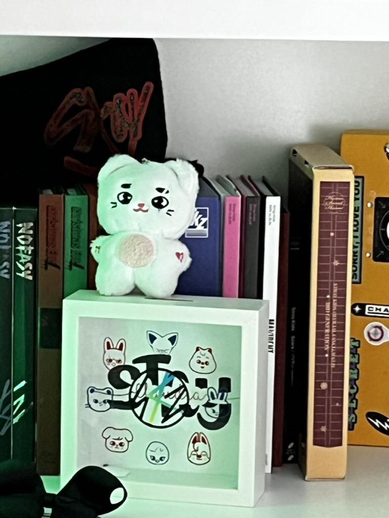 DreamBox Stray Kids SKZoo - Personalizable con Nombre